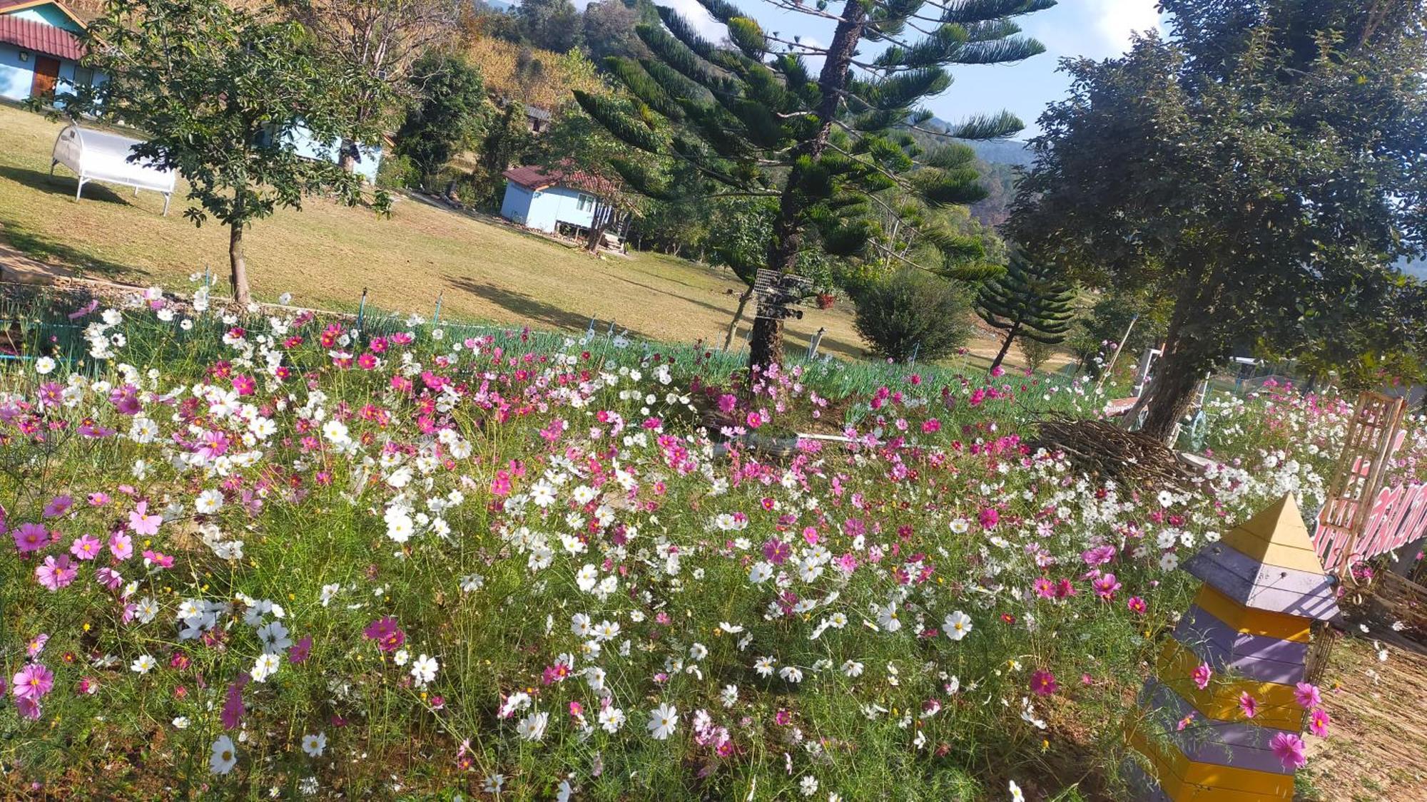 Mong Homestay Resort ปางอุ๋ง ภายนอก รูปภาพ