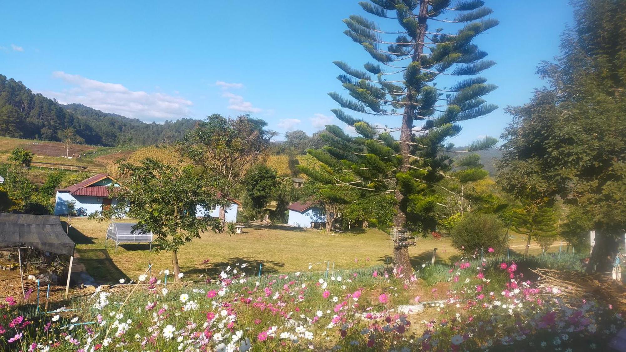 Mong Homestay Resort ปางอุ๋ง ภายนอก รูปภาพ