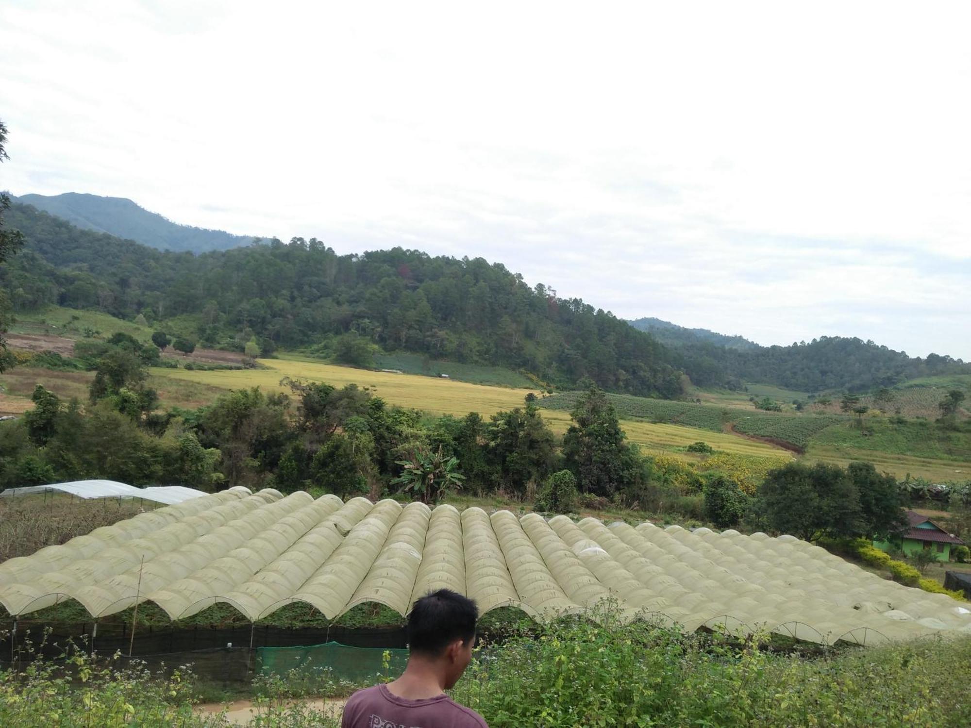 Mong Homestay Resort ปางอุ๋ง ภายนอก รูปภาพ